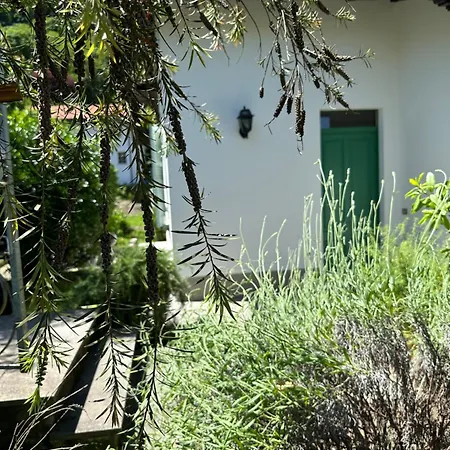 Casa Del Custode: Renovated Flat With Garden In A Near The Apartment *